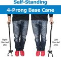 Quadra Walking sticks. 