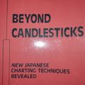 Beyond Candlesticks: New Japanese Charting Techniques Revealed Book by Steve Nison. 