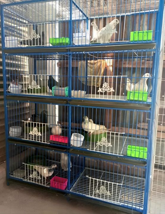 1-8%20Floor%20(Select%20your%20Size)%20Nut%20System%20Folding%20Cage%20Made%20by%2013no%20Wire%20With%20plastic%20coded%20on%20China%20Model%20Pigeon%20Cage%20Each%20Floor%20-%20Image%204