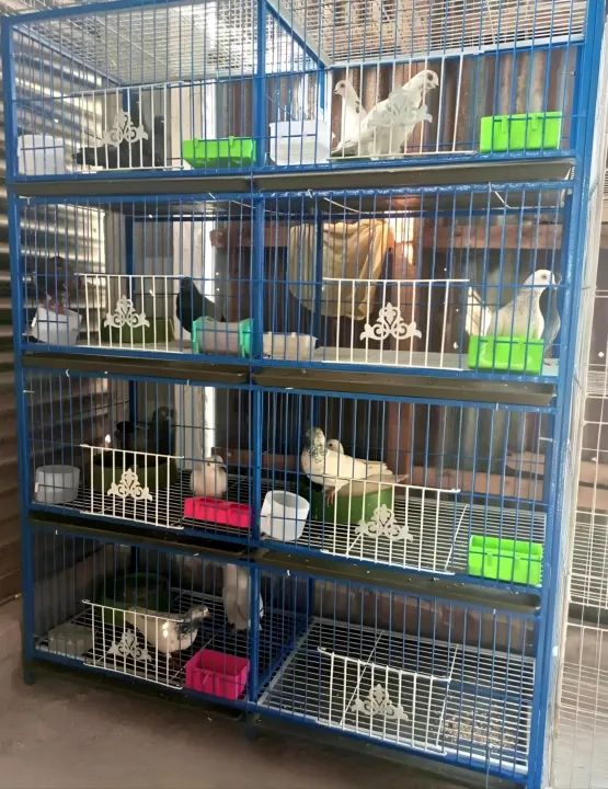 8%20Floor%20Nut%20System%20Folding%20Cage%20Made%20by%2013no%20Wire%20With%20plastic%20coded%20on%20China%20Model%20Pigeon%20Cage%20Each%20Floor%20Cash%20On%20Delivery%20Available%20-%20Image%202
