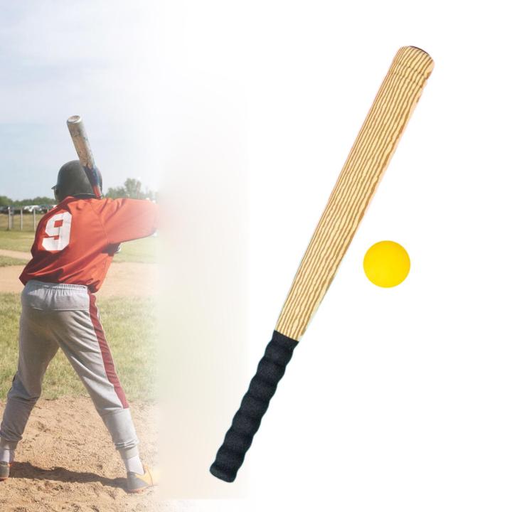 Baseball Bat Set Baseball Bat Set Practice Tool Portable with Ball Interactive Toys ...