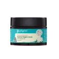 Pilgrim Korean Retinol Anti Aging Night Cream with Hyaluronic Acid & Vitamin C 50 gm. 