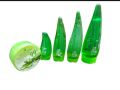 Aloevera Gel Deal 5 Pcs Set original aelovera gel alovera. 