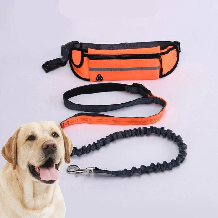 Hands%20Free%20Dog%20Leash%20for%20Running%20Walking%20Reflective%20Leash%20with%20Waist%20Bag%20Retractable%20Elastic%20Belt%20Dog%20Traction%20Rope%20Pet%20Products%20-%20Image%205