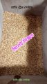 Millet mix/Millet Canary mix for Birds-500 gm.