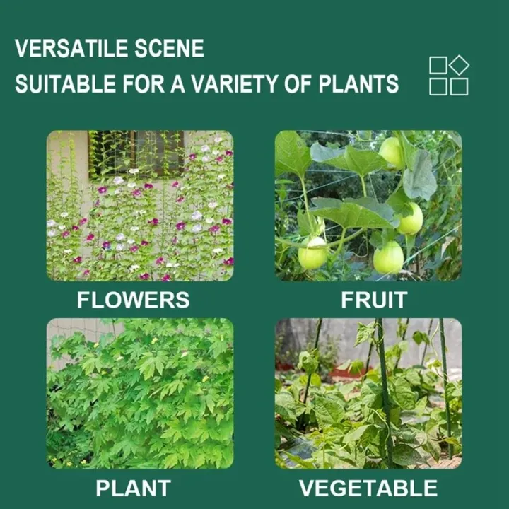 High-quality%20Garden%20Climbing%20Netting%20Strong%20Nylon%20Plant%20Trellis%20for%20Climbing%20Plants%20Loofah%20Morning%20Glory%20Flowers%20Cucumber%20Vine%20-%20Image%206