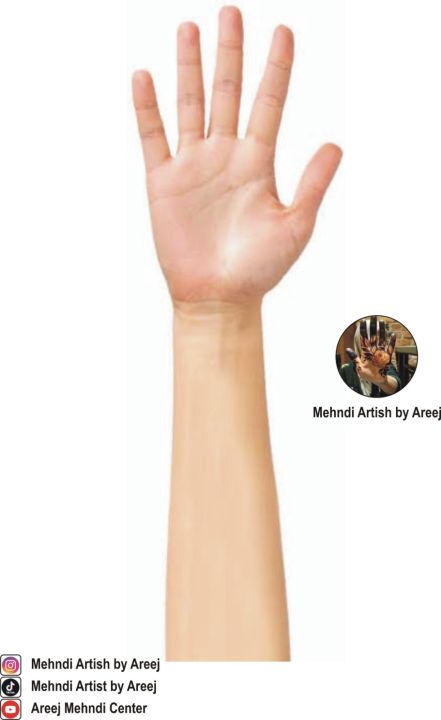 Reusable%20mehndi%20practice%20hand%20and%20Feet,%20Mehndi%20practices%20hands,%20-%20Image%205