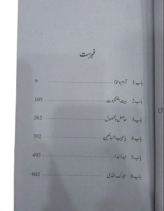 Aab%20e%20hayat%20umera%20Ahmed%20urdu%20novel%20-%20Image%203