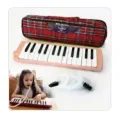 Melodica with Carrying Bag 27 Keys YN 1889  I STYLEZ  IS 01-20. 