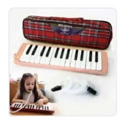 Melodica with Carrying Bag 27 Keys YN 1889  I STYLEZ  IS 01-20