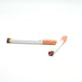Funny Fake Puff Cigarettes Party Smoke Effect Lit Trick Prank Gag  Theatrical Magical Prop For Halloween Party Prom Props. 