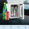 4L Mini Multifunction Refrigerator Cosmetics Mask Beverage Dormitory Refrigerators Cooler Warmer Beauty Fridge for Car. 