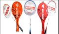 Badminton Racket / Wish  Fire Star. 