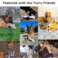 5PCS Crinkle Plush Dog Squeaky Toys Fox Giraffe Squirrel Cow Donkey Style, No Stuffing Dog Toys for Small Medium Large Dogs.