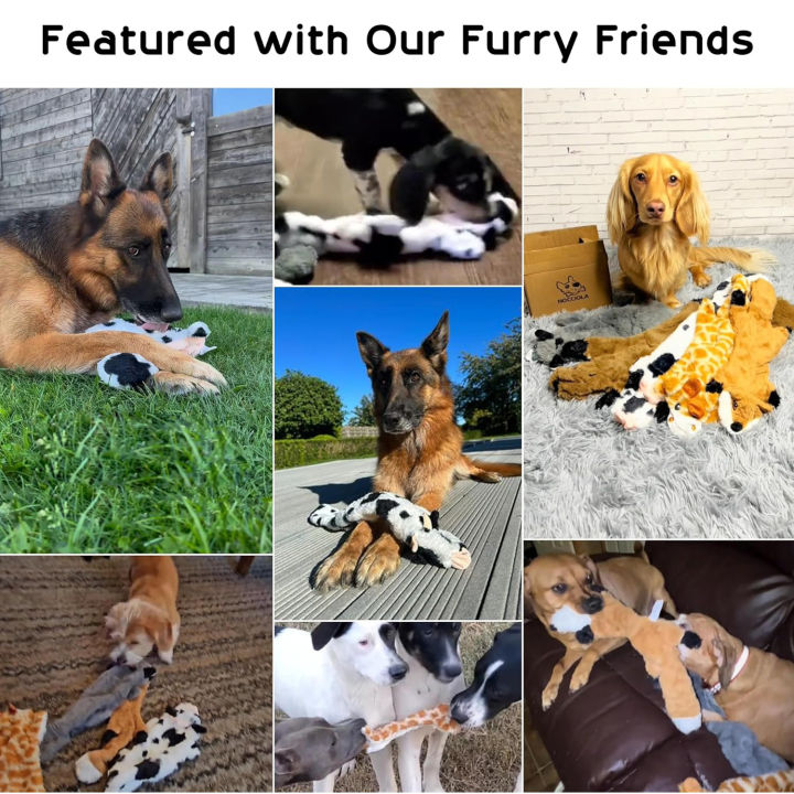 5PCS%20Crinkle%20Plush%20Dog%20Squeaky%20Toys%20Fox%20Giraffe%20Squirrel%20Cow%20Donkey%20Style,%20No%20Stuffing%20Dog%20Toys%20for%20Small%20Medium%20Large%20Dogs%20-%20Image%206