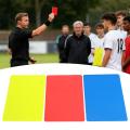3PCS Professional Referee Card Set High-Visibility Soccer Red Yellow Cards with Holder for Football Soccer Referee Cards. 