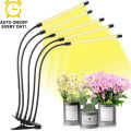 USB LED plant growth lamp 5V full-spectrum hydroponic growth system greenhouse indoor warm white plant lamp. 