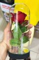 Rose flower in glass tube gift anversiry gift. 
