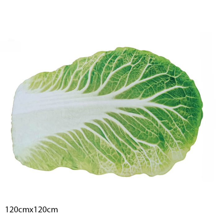 Double-Sided%20Flannel%20Creative%20Appearance%20Home%20Sofa%20Cabbage%20Blanket%20-%20Image%203