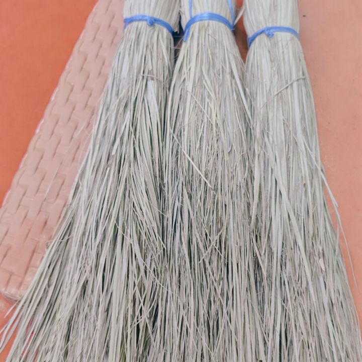 Love Bird Nesting Materials