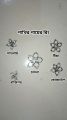 Only Leg Ring For Harness of Birds silver color-01 pc.