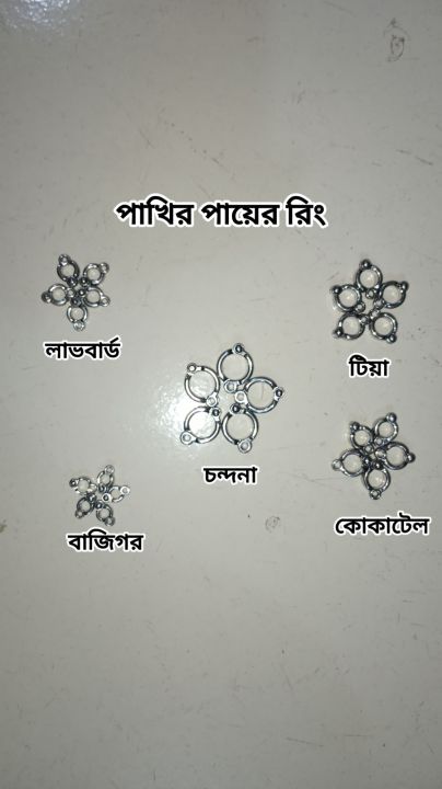 Only%20Leg%20Ring%20For%20Harness%20of%20Birds%20silver%20color-01%20pc%20-%20Image%203