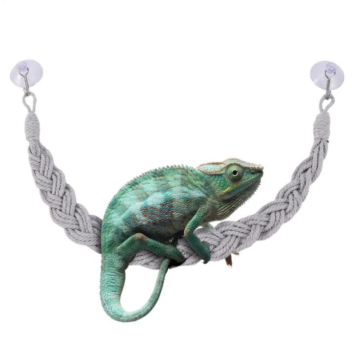 Hermit%20Crab%20Climbing%20Jute%20Rope%20Ladder%20Reptile%20Tank%20Terrarium%20Accessories%20Lizard%20Gecko%20Climbing%20Jute%20Rope%20Ladder%20Hermit%20Crab%20Toys%20-%20Image%205