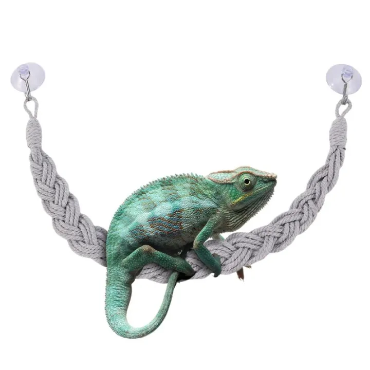Hermit%20Crab%20Climbing%20Jute%20Rope%20Ladder%20Reptile%20Tank%20Terrarium%20Accessories%20Lizard%20Gecko%20Climbing%20Jute%20Rope%20Ladder%20Hermit%20Crab%20Toys%20-%20Image%204