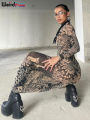 Weird Puss Mesh Print Women Maxi Dress Turtleneck Full Sleeve Bodycon Autumn Trendy Hipsters High Street Party Y2K Attirewear. 