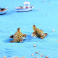 1PC Mini Sea Turtle Model Resin Aquarium Fish Tank Home Landscape Ornaments Decoration Accessories Fine Workmanship Layout Prop.