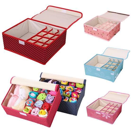 undergarments Organizer