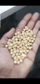 kabuli Chickpeas wholesale price. 