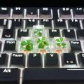Genuine Four-leaf Clover Resin Cross-axis Mechanical Keyboard key caps. 