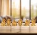 Prosperity Golden Laughing Buddha Figurines For Wealth And Success-Set of 6 PCs. 