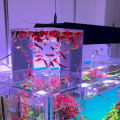 Transparent Acrylic Negative Pressure Fish Tank Practical Fish Tank Ecological Landscaping Decor For Office. 