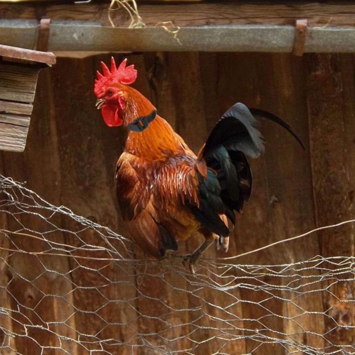 2PCS%20Chicken%20Collar%20Anti-Hook%20Noise%20Free%20Neckband%20Collars%20No%20Crow%20Rooster%20Collar%20Prevent%20Chickens%20from%20Crowing%20Supplies%20-%20Image%202