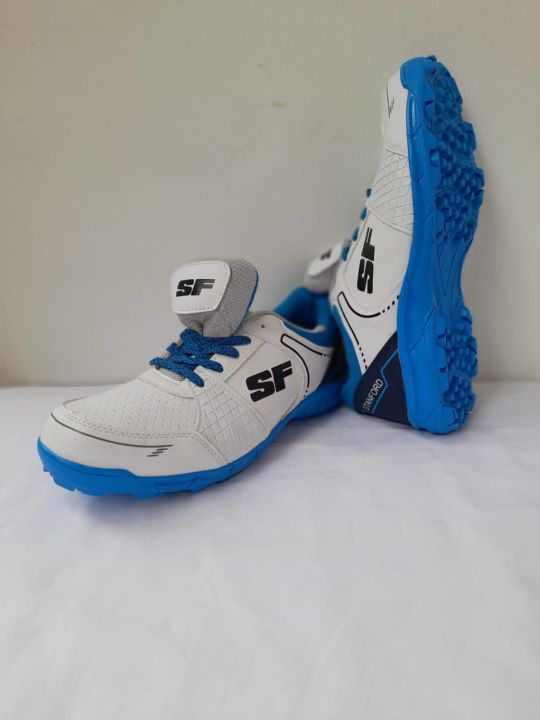 Cricket shoes