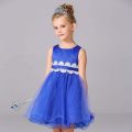 Vicloon Elsa Princess Tiara, Tiara Crown and Fairy Wand Elsa Dress Up Accessories Set for Party.