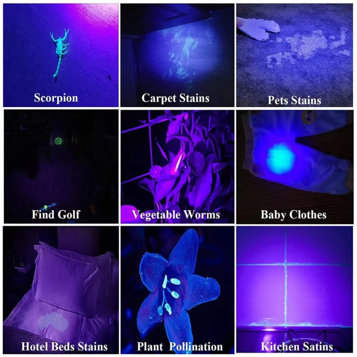 395nm%20UV%20Flashlight%20Ultraviolet%20%20With%20Pen%20Clip%20Portable%20Violet%20Light%20Pet%20Urine%20Scorpion%20Detector%20UV%20Lamp%20Use%20AAA%20Batteries%20-%20Image%203