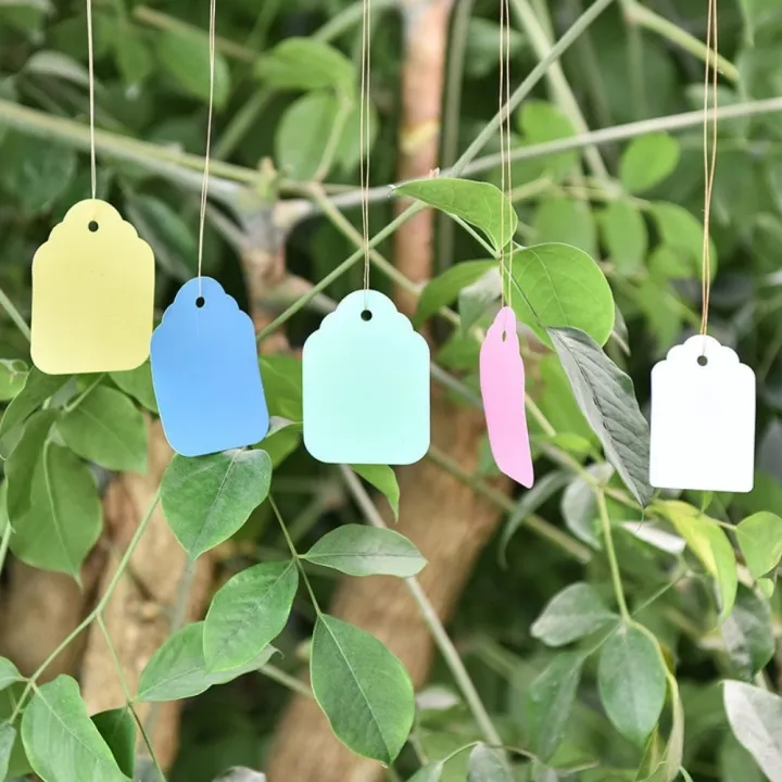 100%20Pcs%20Hanging%20Colorful%20Garden%20Tags%20with%20String,%20Writable%20Marking%20Label,%20Waterproof%20PVC%20Plastic%20Tag%20for%20Plant,%20Flower,%20Tree,%20Bonsai,Orchid%20&%20Outdoor%20Gardening,%20Plants%20Name%20Tags%20Labels%20Marker%20Nursery%20From%20Green%20Messenger%20by%20Garden%20Close(3%20Different%20Size)%20-%20Image%207