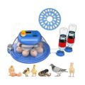 8 Eggs Intelligent Fully Automatic incubator ac dc 40w. 