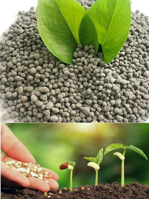 NPK FERTILIZER 15 15 15 (1kg) growth regulator for seeds plants in kitchen gardening