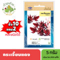 Chia Tai (buy 10 get 2) 5g of red okra seeds, about 120 roselle seeds, roselle seeds, vegetable seeds, planting vegetables, Garden Kitchen. 