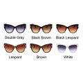 Fashion Cat Eye Sunglasses Woman Brand Designer Big Frame Gradient Sun Glasses Clear Lens Female Shades Vintage Oculos De Sol. 