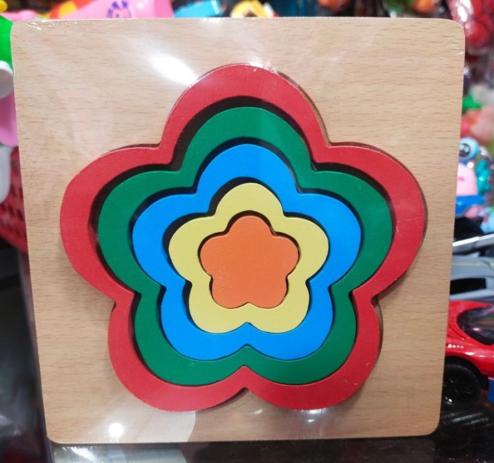 1pcs Wooden Toys Montessori Shape Sorting Puzzle Sensory Toys Toddlers ...