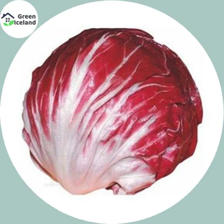 Hybrid%20F1%20Red%20Cabbage%20Seeds%20-%2020%20Pcs%20Seeds%20-%20Image%203