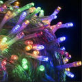 Fairy Decorative Lights - Beautiful Ceiling Lights MultiColor. 