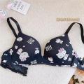 Japanese cartoon cute girl underwear small chest gathered without steel ring big chest small comfortable slim student bra panty set.