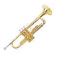 Jinbao JBTR- 500 Trumpet complete with case and accessories. 