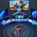 Wireless mouse, Bluetooth dual-mode silent and rechargeable wired esports gaming computer, suitable for desktop laptops.